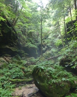 Misty grotto